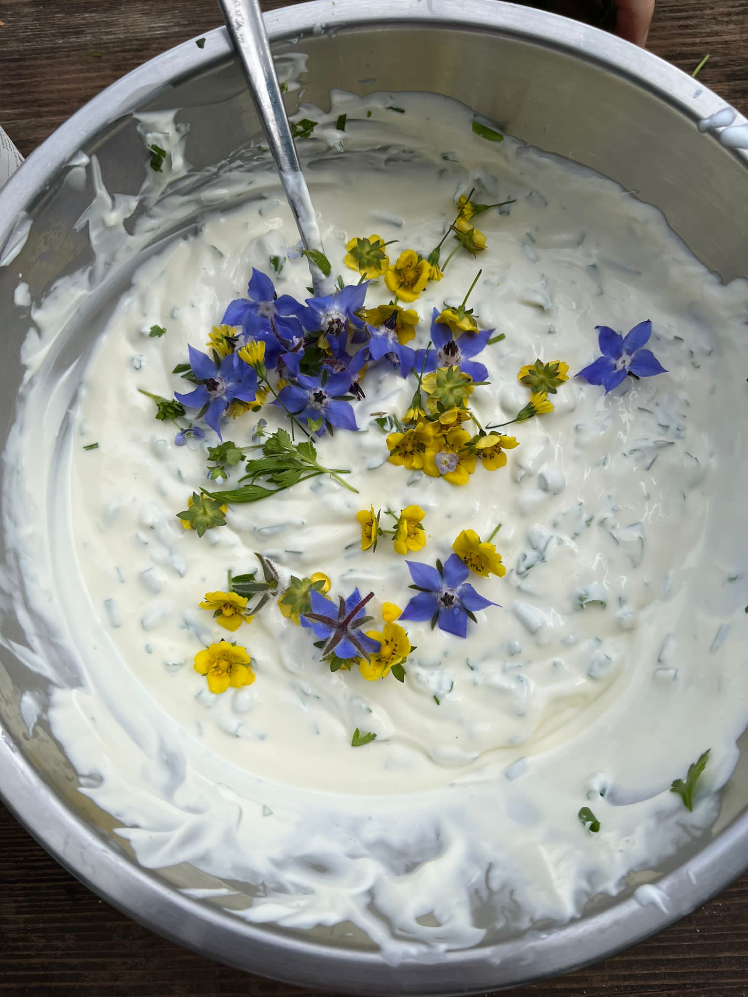 Lea Bischoff-Klauser